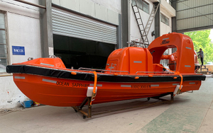 6m Fast Rescue Boat ( NM60R Inboard )